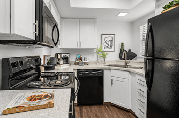 Renovated all-black appliances